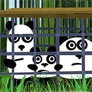3 Pandas
