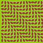 50 Optical Illusions