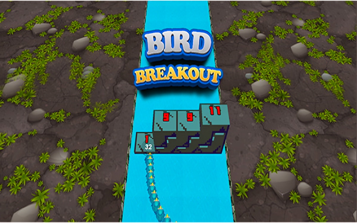 Bird Breakout