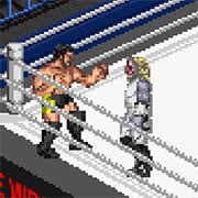 Fire Pro Wrestling