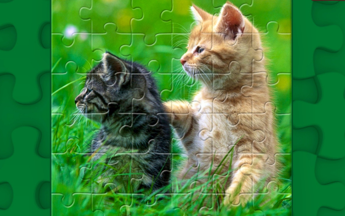 Funny Kitty Puzzle
