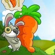 Incredible Rabbit’s Day