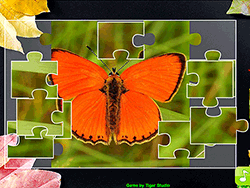 Jigsaw Puzzle Collection Animals