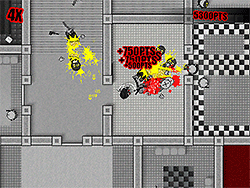 Madness Sierra Nevada