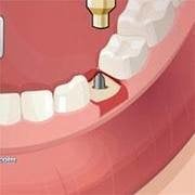 Operate Now: Dental Surgery