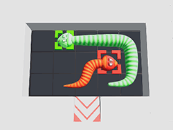 Snake Puzzle