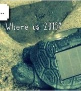 Where is 2015?