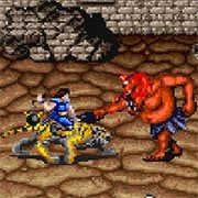 Wild Fang / Tecmo Knight