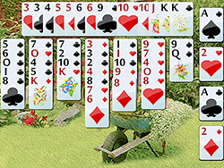 Wild Flower Solitaire